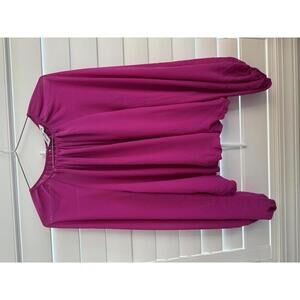 Amanda Uprichard long sleeve top with sheer sleeves and balloon hem size Large